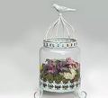 Birdcage Terrariums